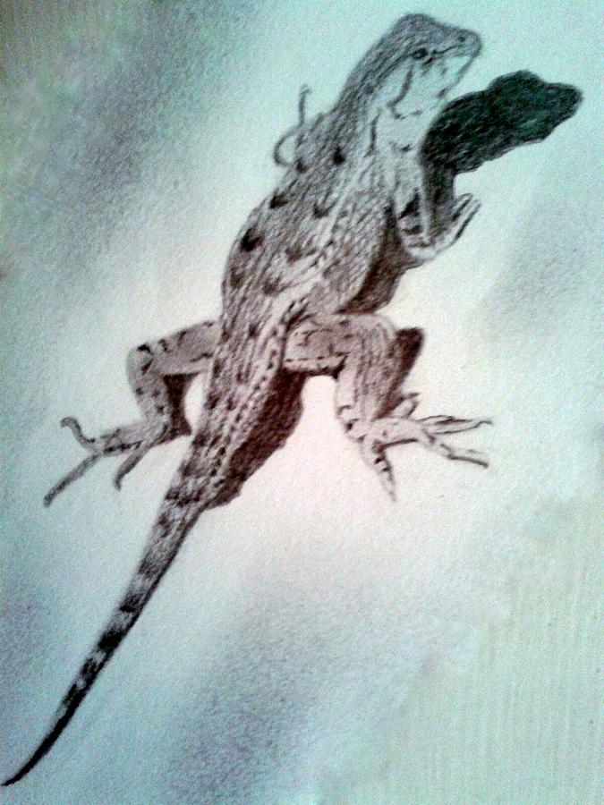 3D Lizard Drawing Photo