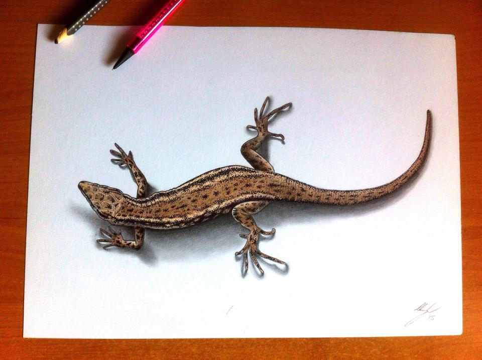 3D Lizard Drawing Sketch