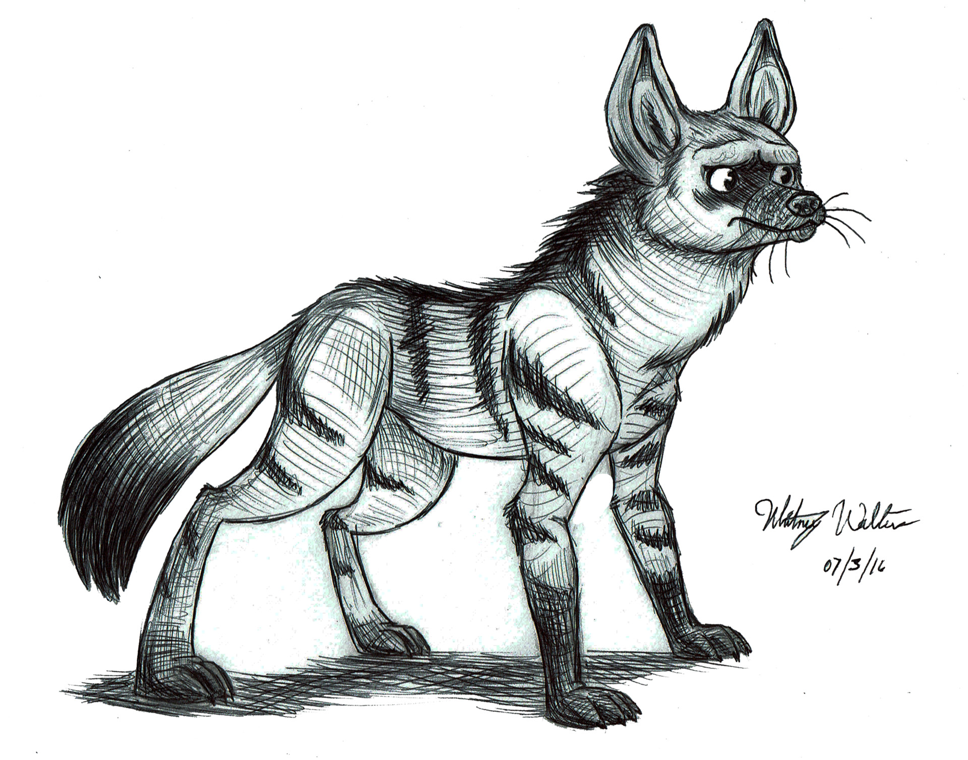 Aardwolf Drawing Images