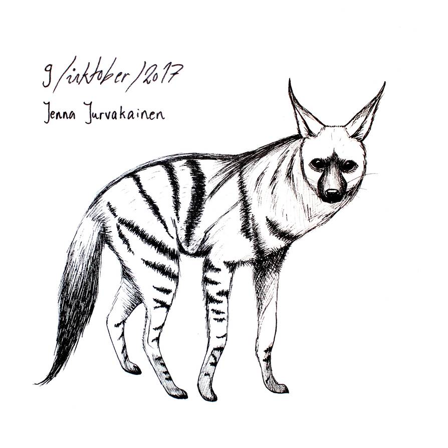 Aardwolf Drawing Picture