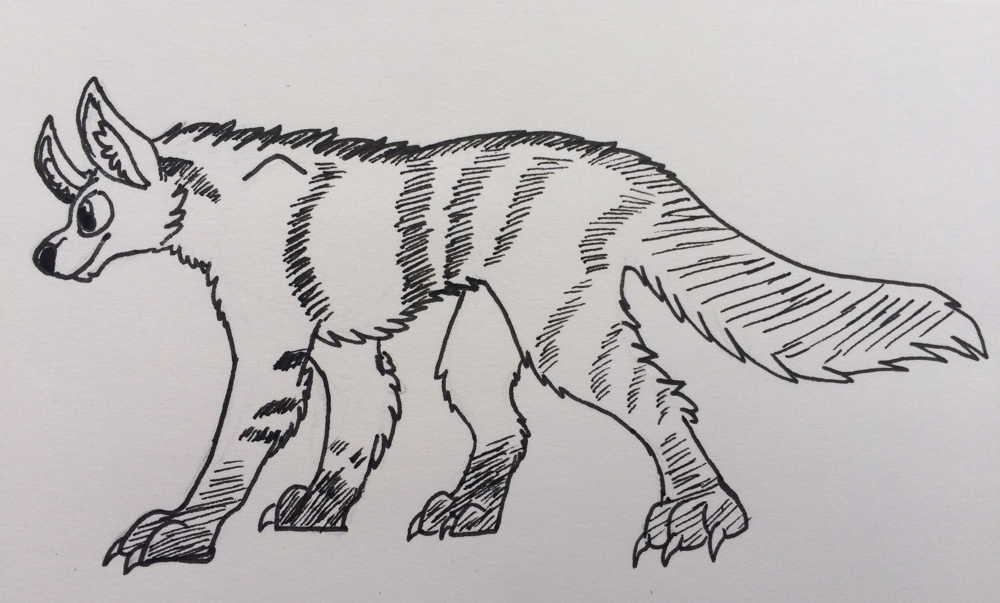 Aardwolf Drawing