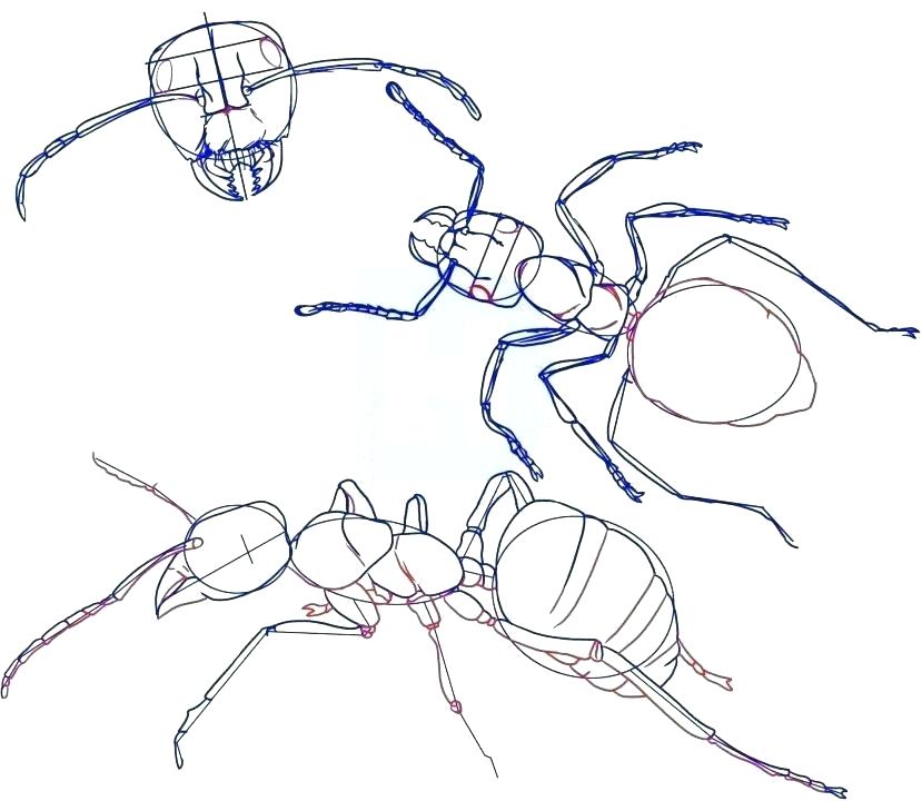Ant-Man Drawing Art