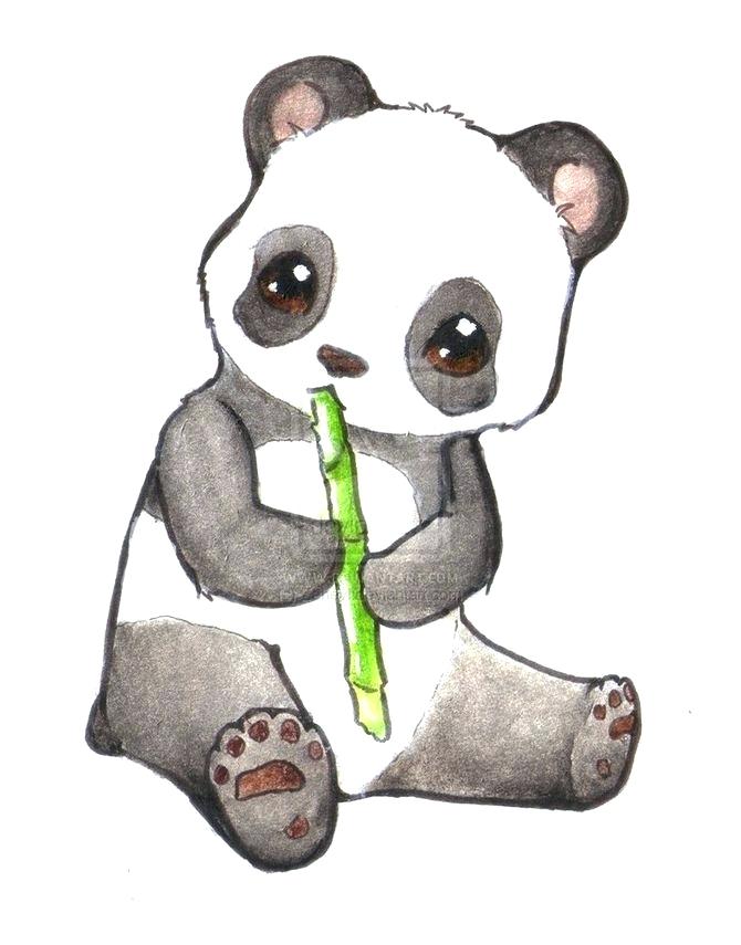Baby Panda Drawing Beautiful Art