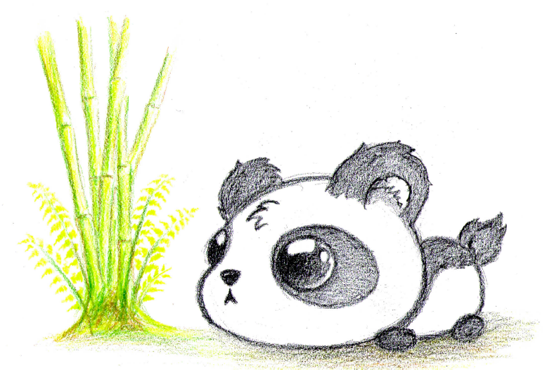 Baby Panda Drawing Image