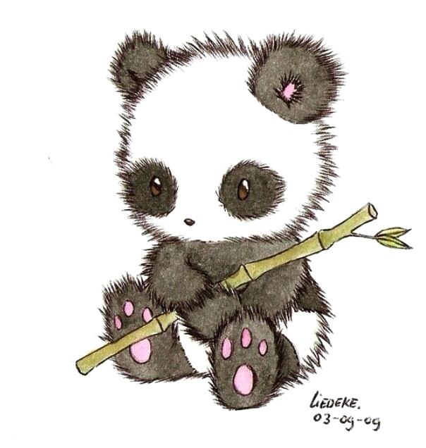 Baby Panda Drawing Images