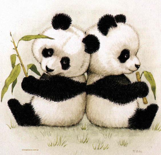 Baby Panda Drawing