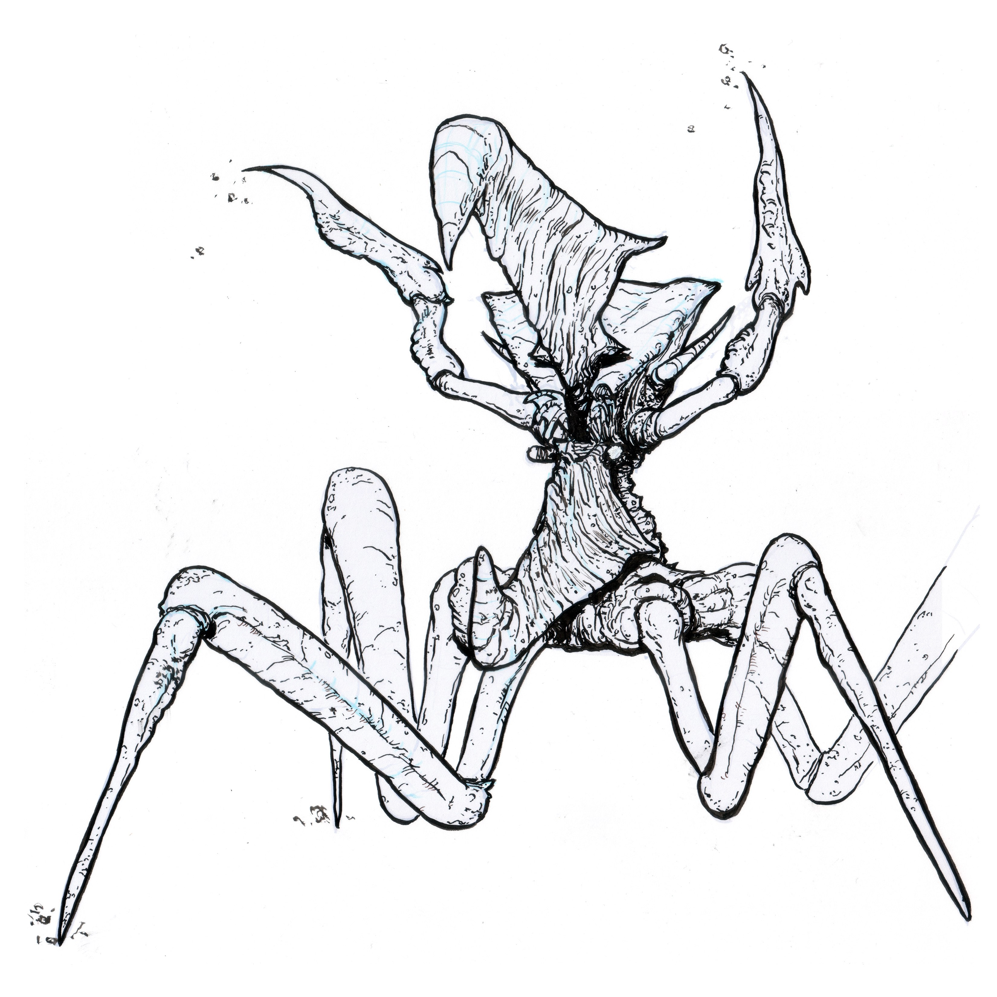 Bug Drawing Sketch