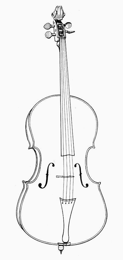 Cello Drawing Beautiful Image