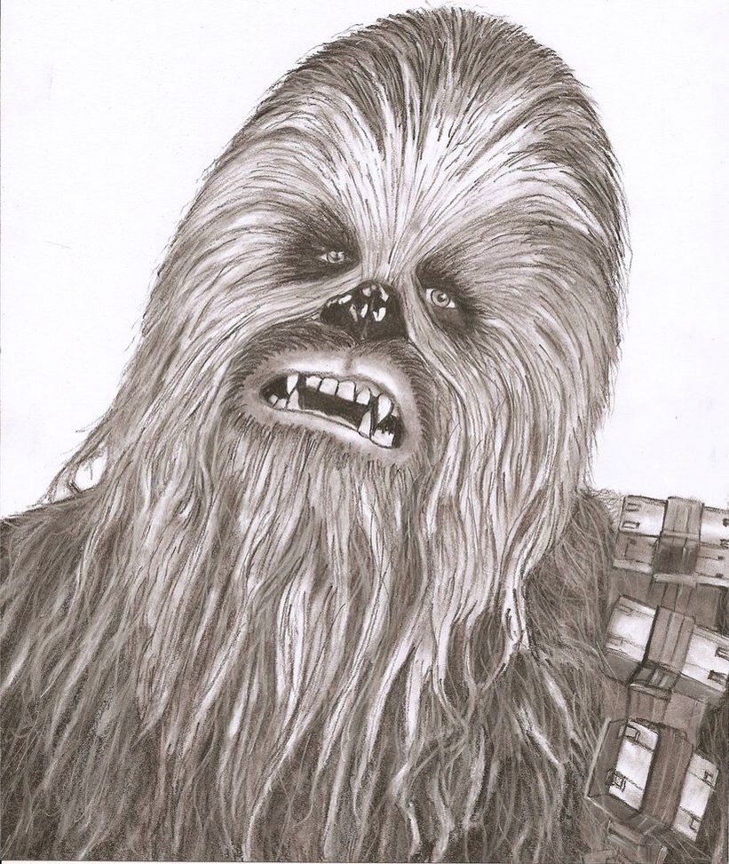 Chewbacca Drawing Picture
