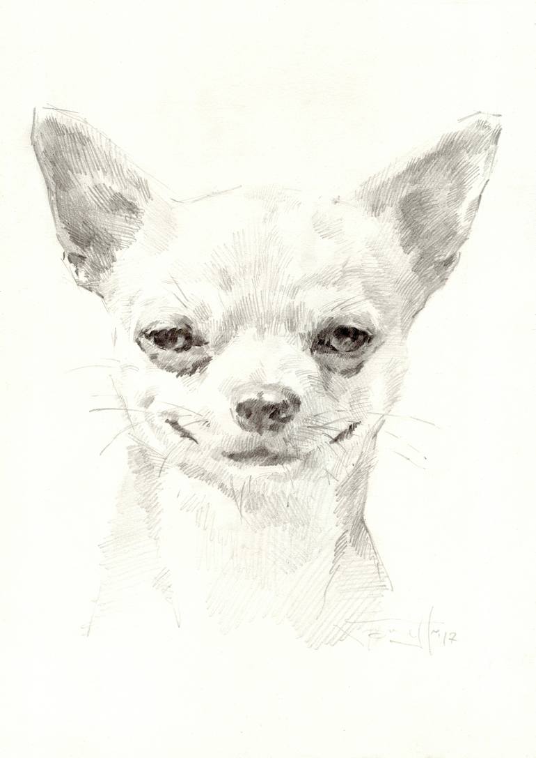 Chihuahua Drawing Image