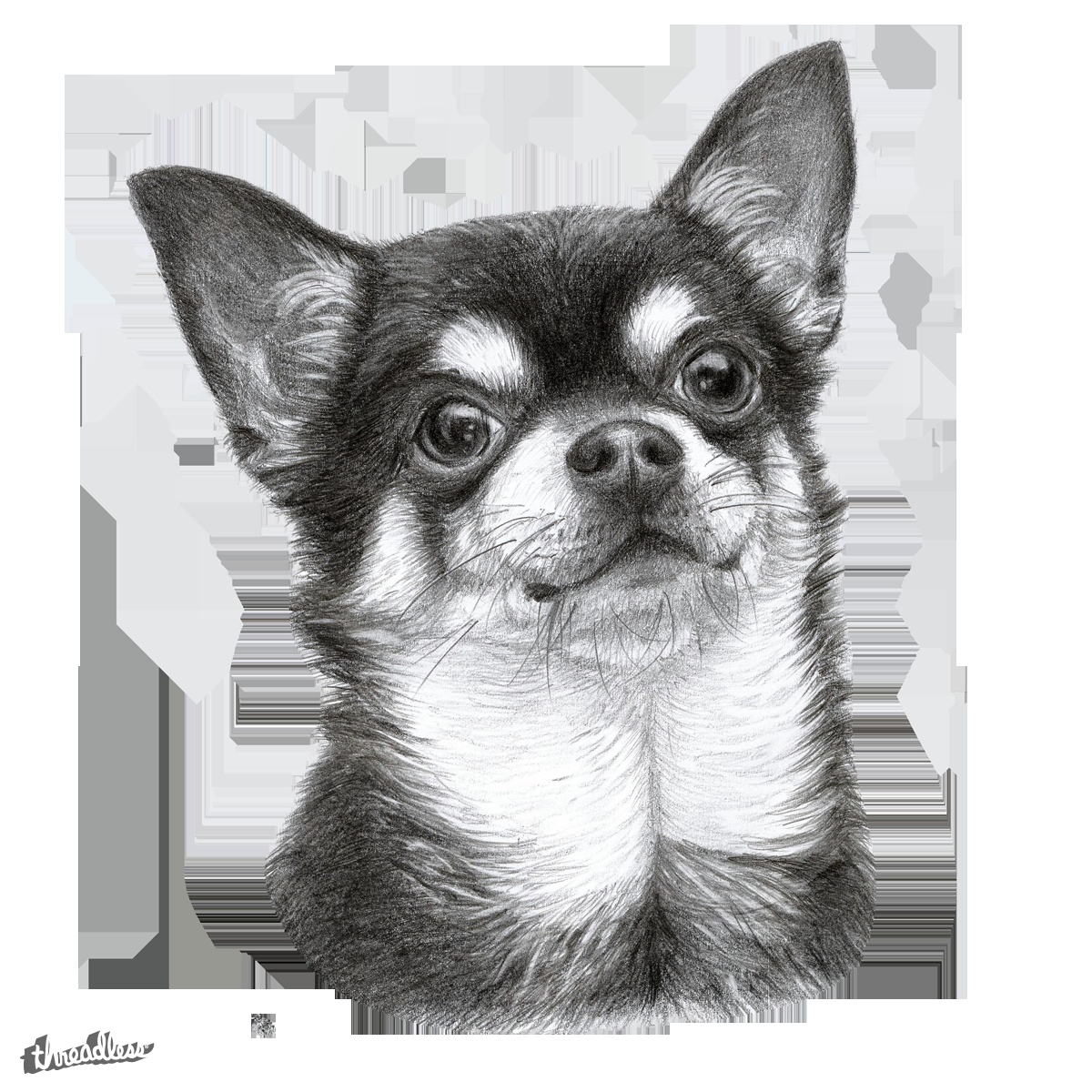 Chihuahua Drawing Picture