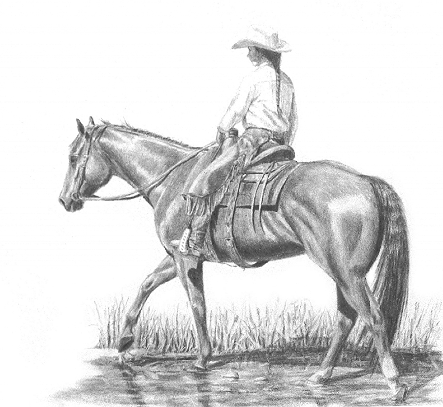 Cowgirl Drawing Art