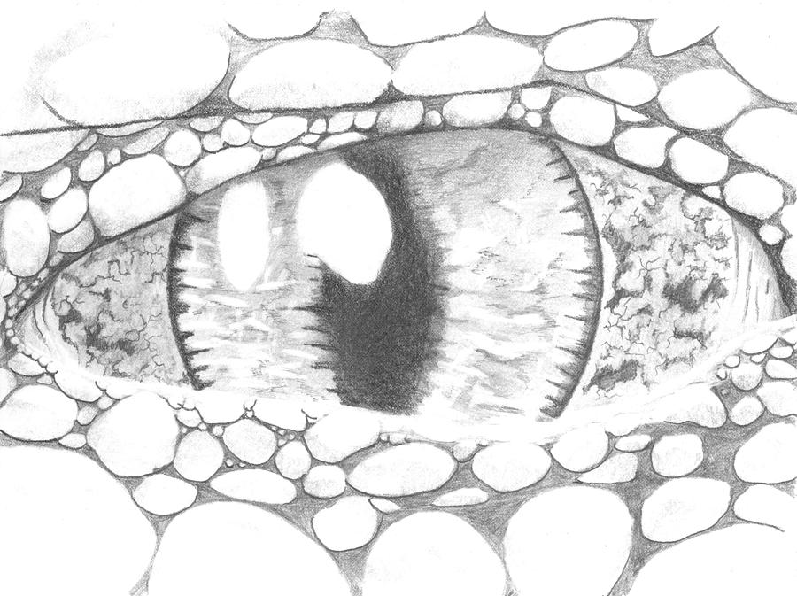 Crocodile Eye Drawing Best