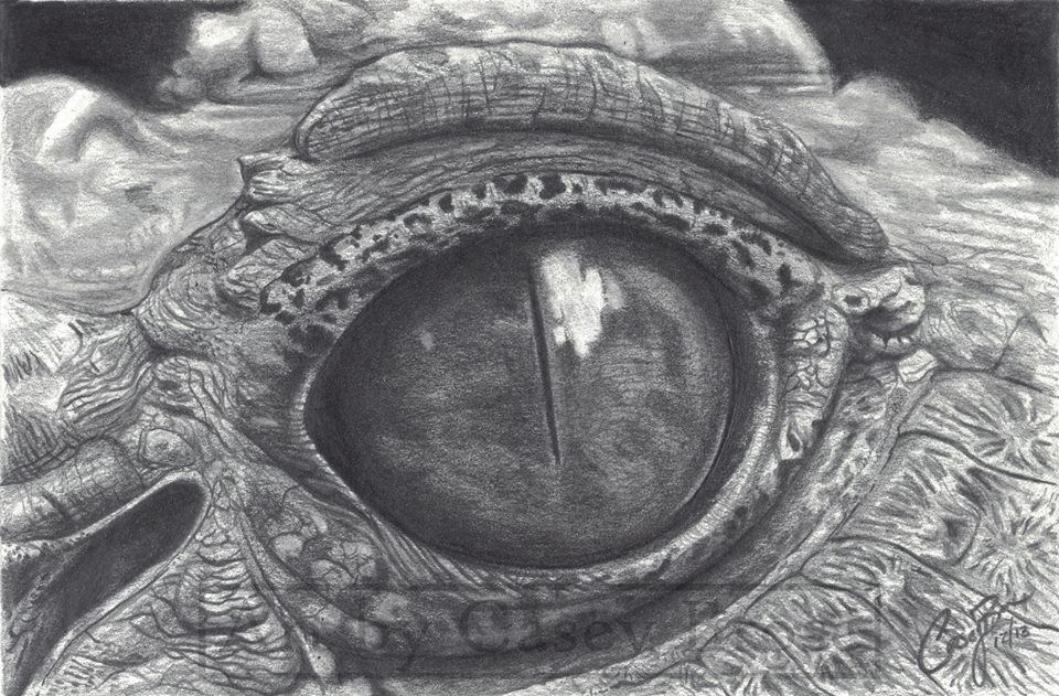Crocodile Eye Drawing Image