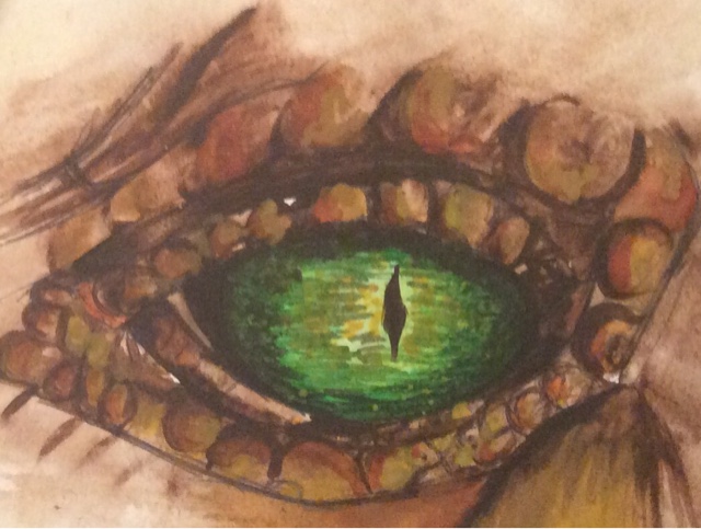 Crocodile Eye Drawing Picture