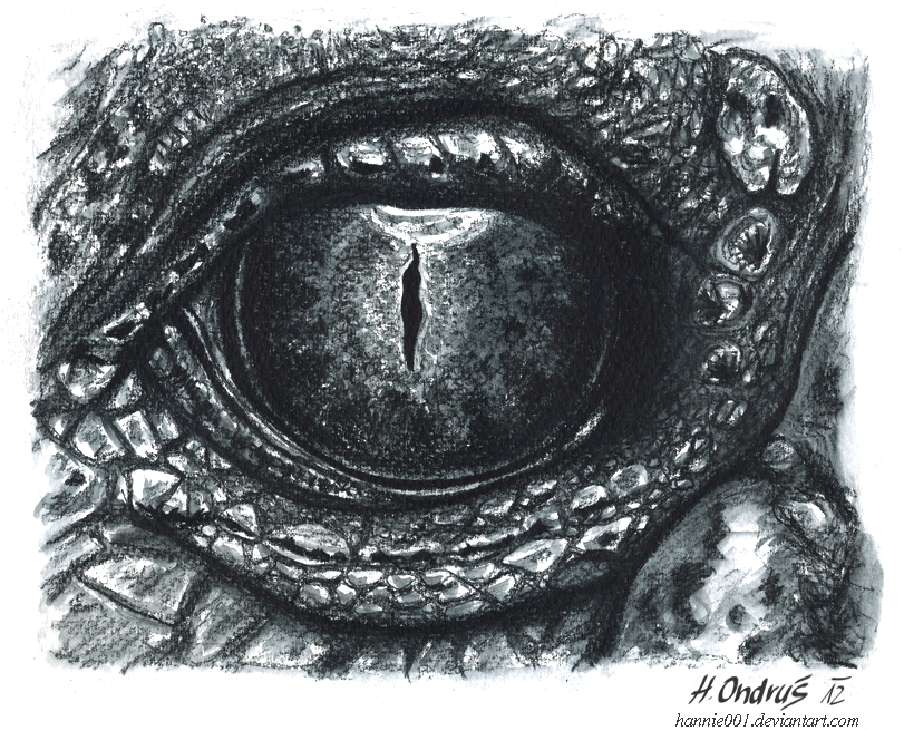 Crocodile Eye Drawing Realistic