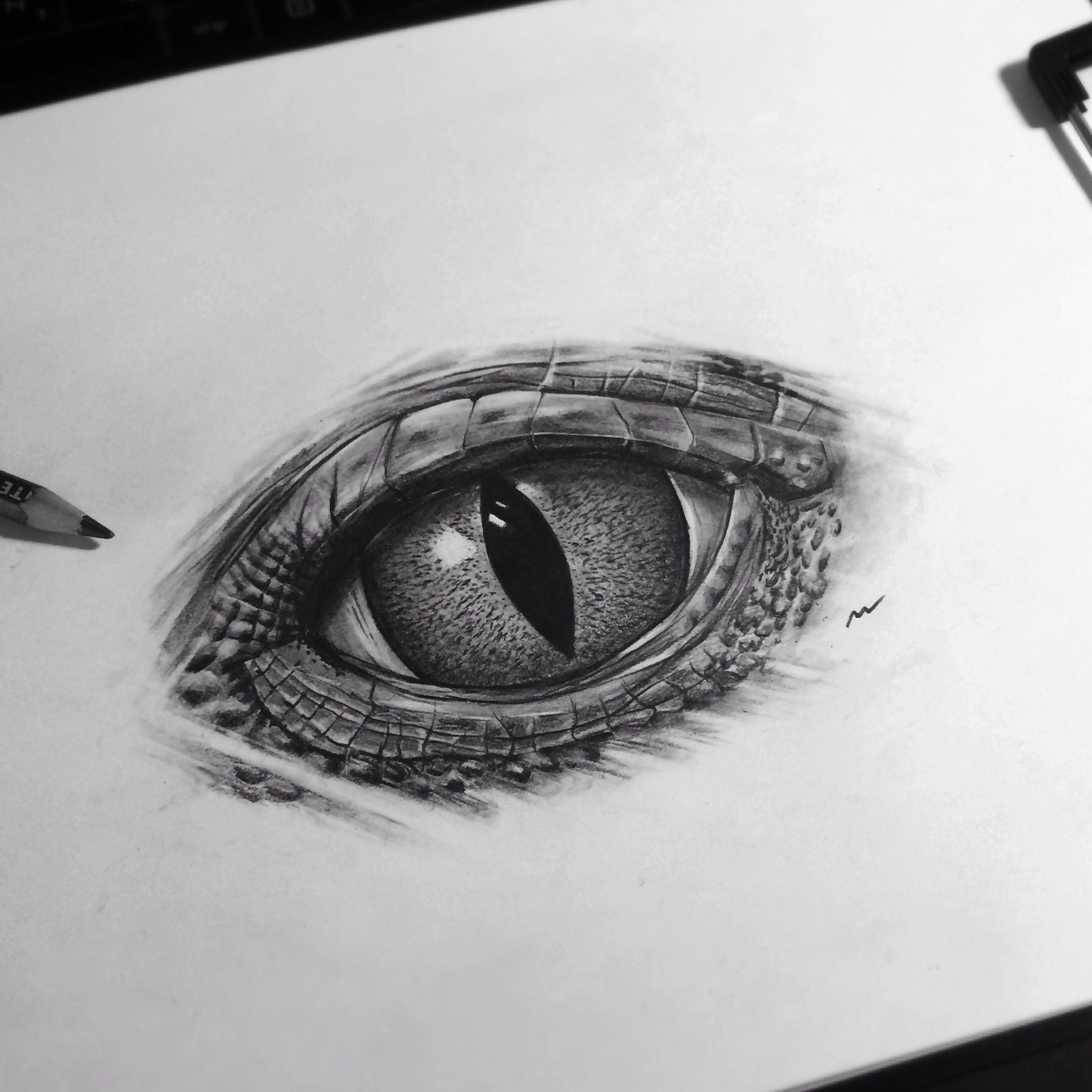 Crocodile Eye Drawing
