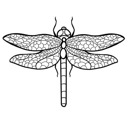 Dragonfly Art Drawing