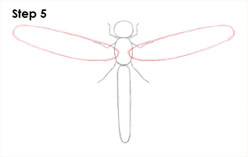 Dragonfly Drawing High-Quality