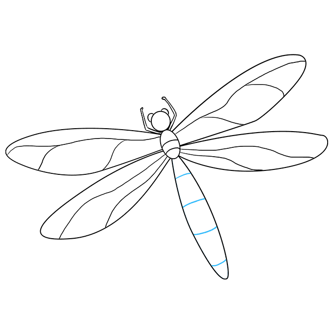 Dragonfly Drawing Sketch