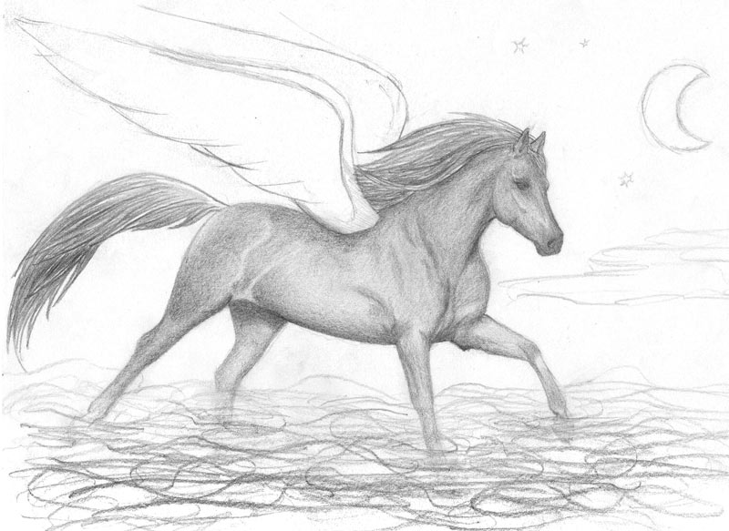 Flying Horse Drawing Art