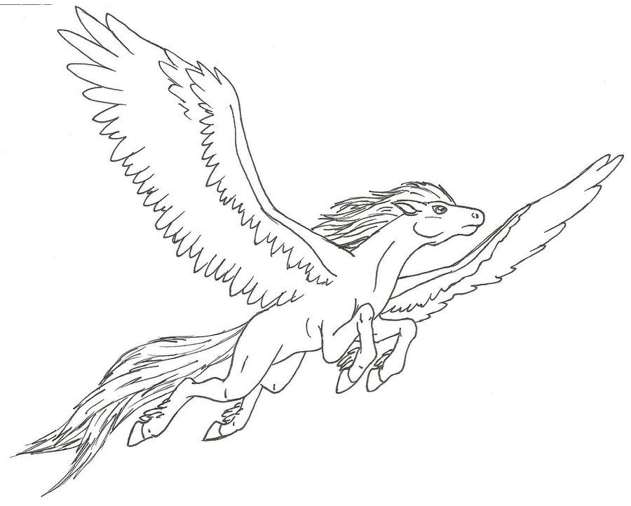 Flying Horse Drawing Pic