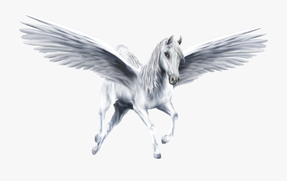 Flying horses Drawing Pegasus, horse, horse, drawing png | PNGEgg