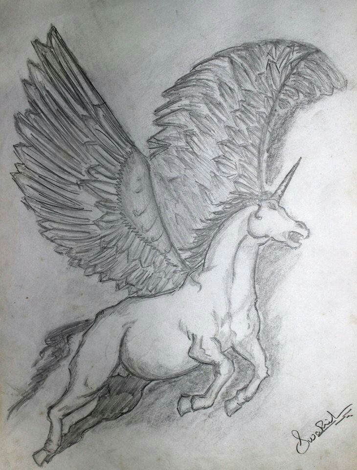 Flying Horse Drawing Picture