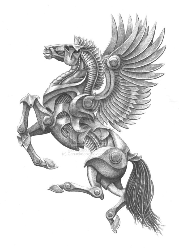 Flying Horse Drawing Sketch
