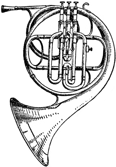 French Horn Drawing Photo