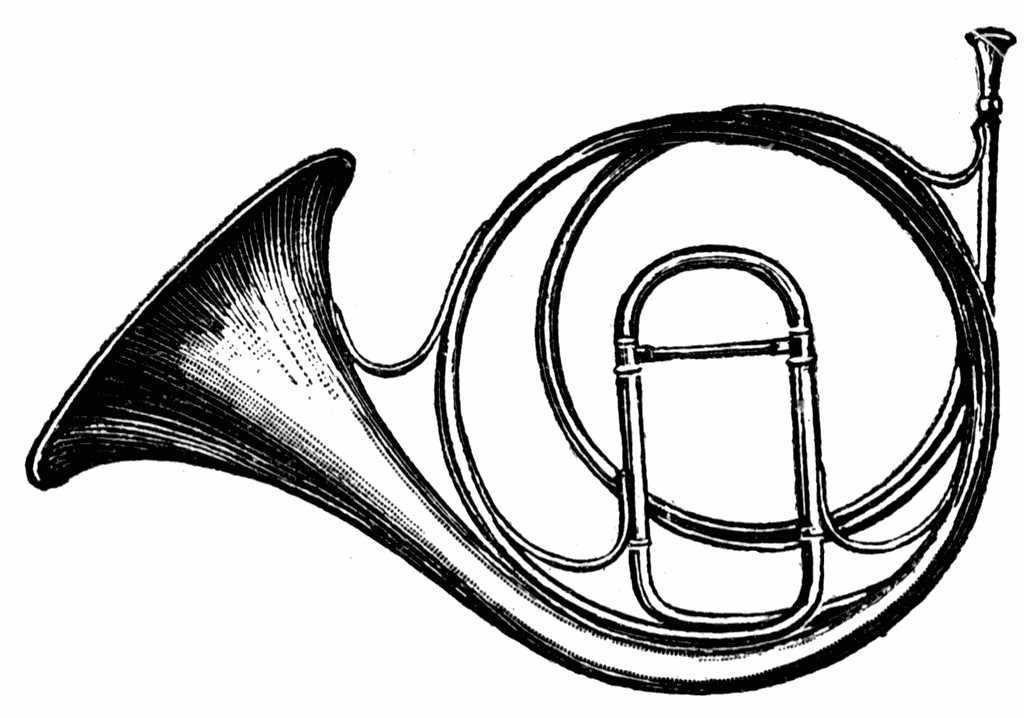 French Horn Drawing Pics