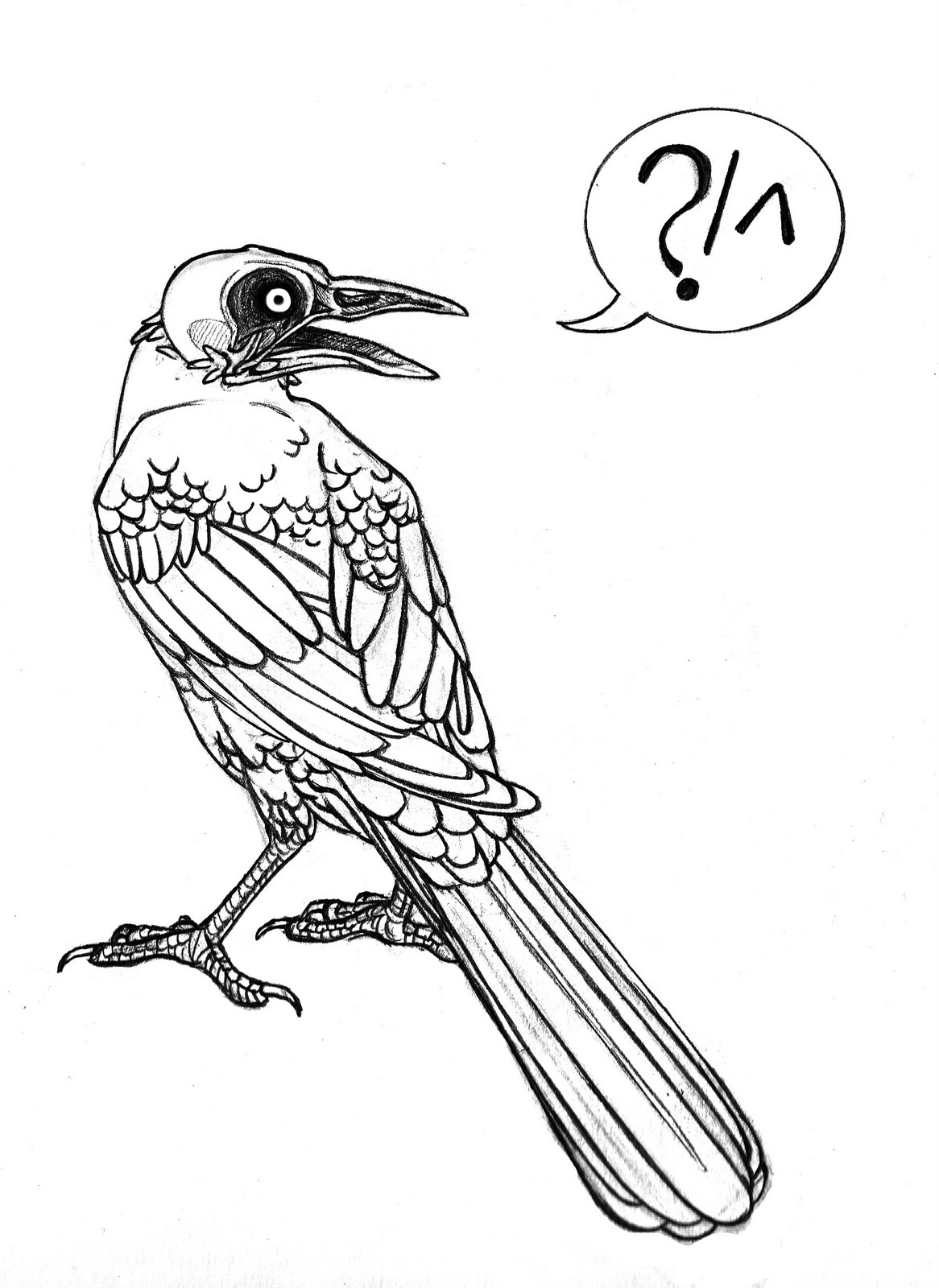Grackle Drawing Best