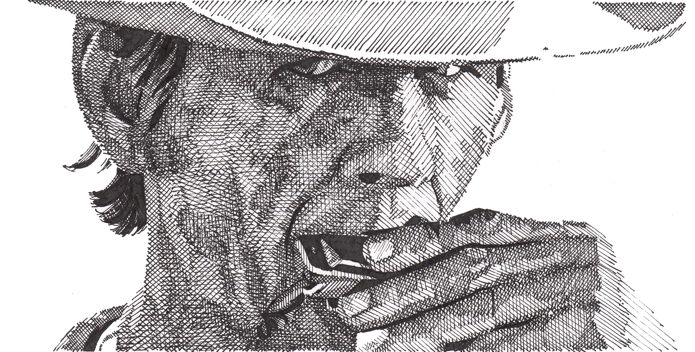 Harmonica Drawing Art