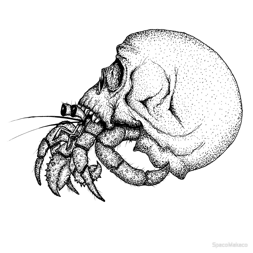 Hermit Crab Drawing Beautiful Image