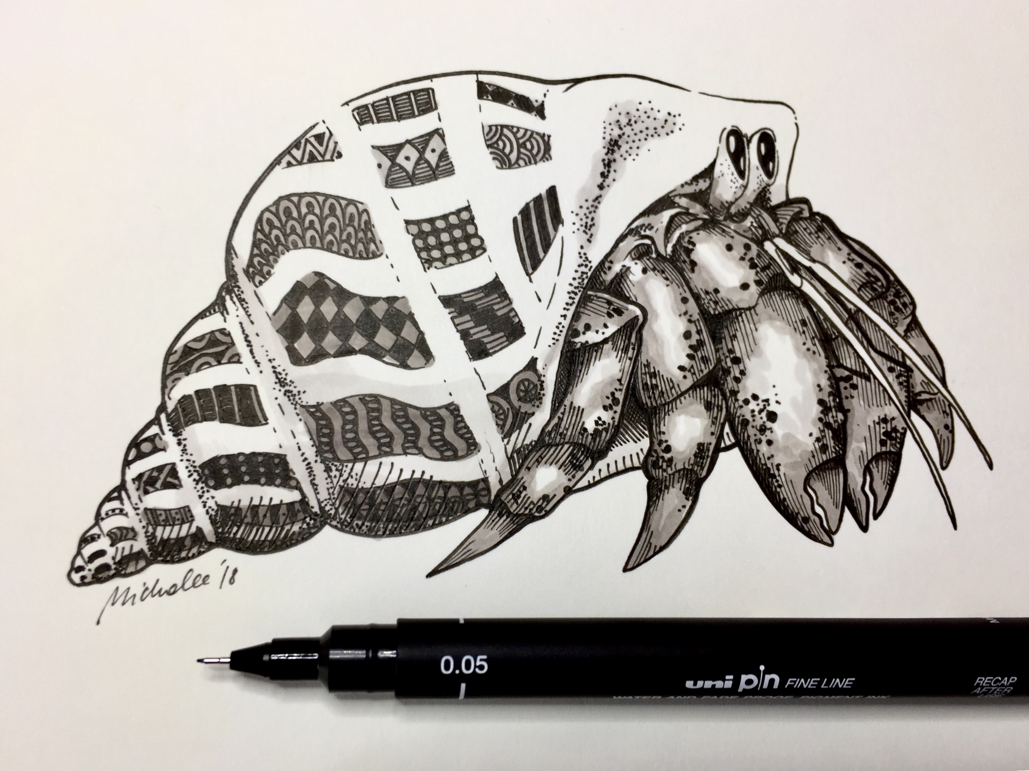 Hermit Crab Drawing Image