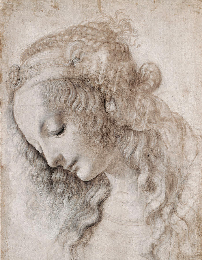 Leonardo Da Vinci Woman Drawing Amazing