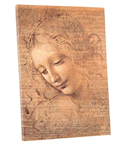 Leonardo Da Vinci Woman Drawing Art
