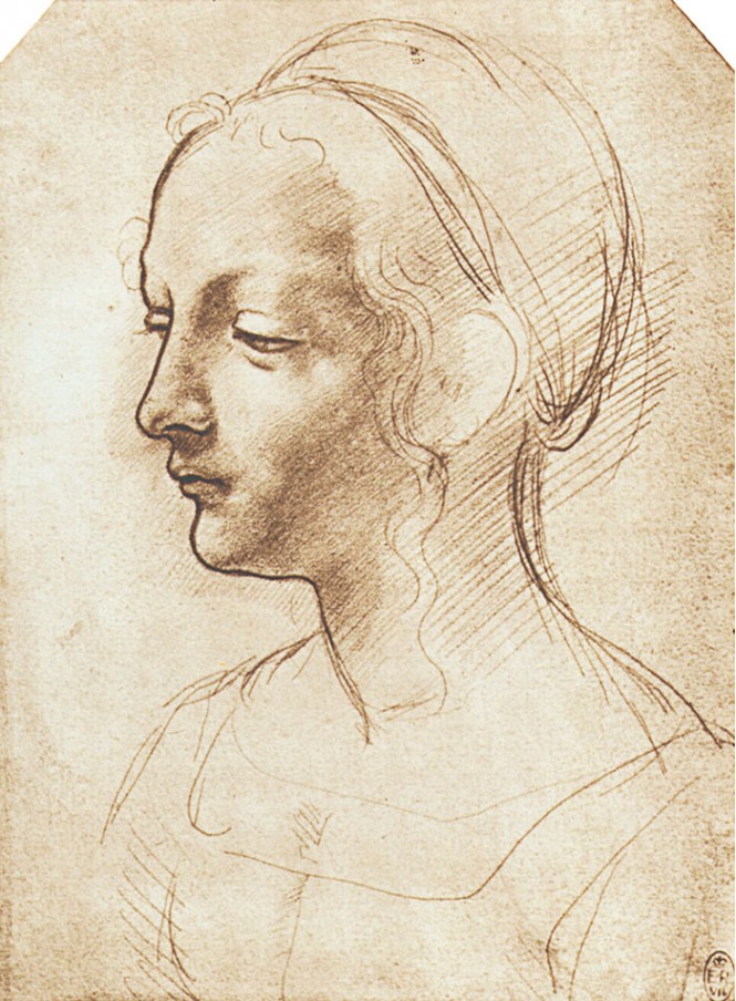 Leonardo Da Vinci Woman Drawing Beautiful Art