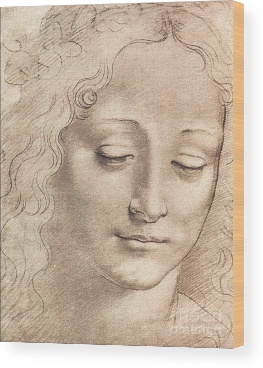 Leonardo Da Vinci Woman Drawing Image