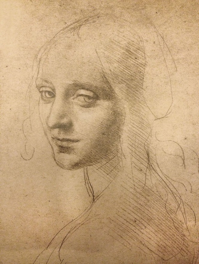Leonardo Da Vinci Woman Drawing Images