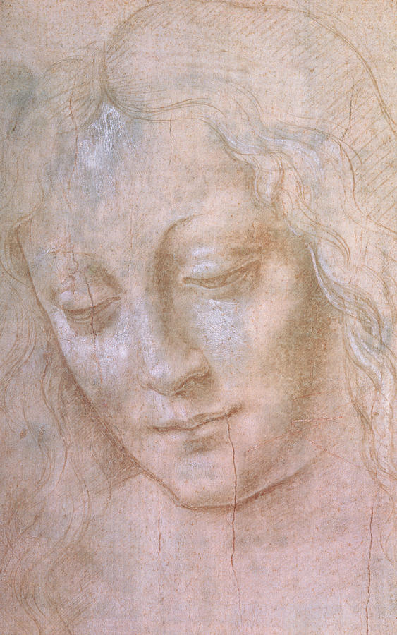 Leonardo Da Vinci Woman Drawing Photo