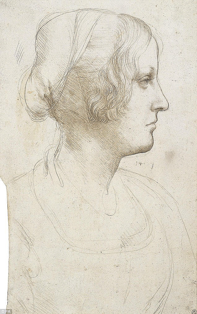 Leonardo Da Vinci Woman Drawing Pic