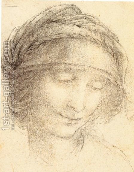 Leonardo Da Vinci Woman Drawing Pics