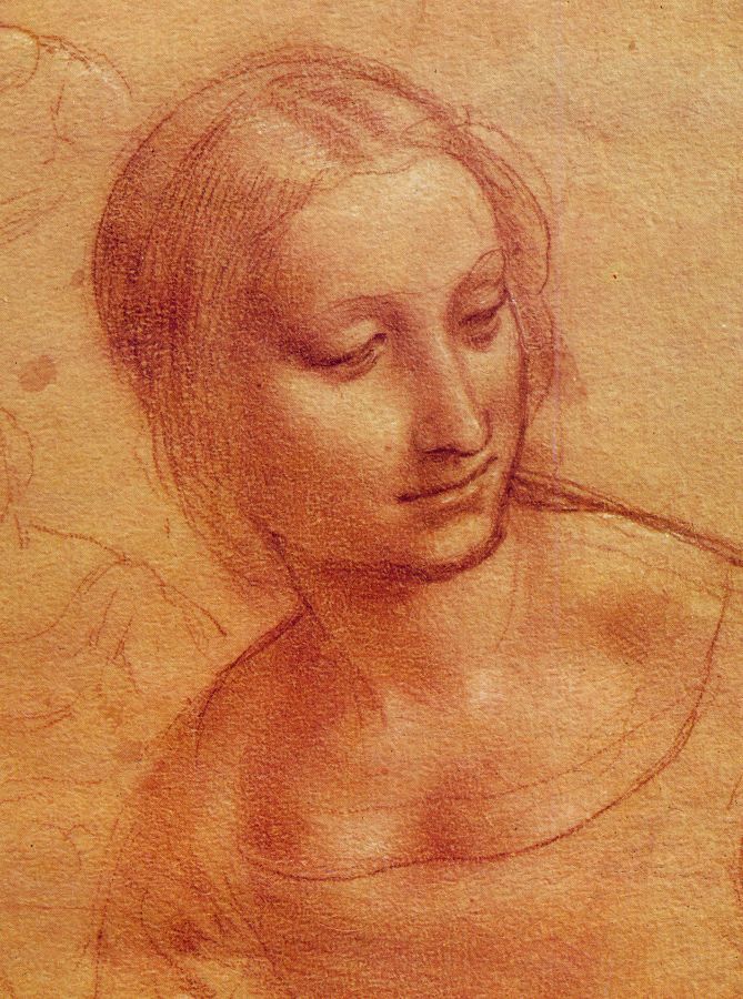 Leonardo Da Vinci Woman Drawing Picture