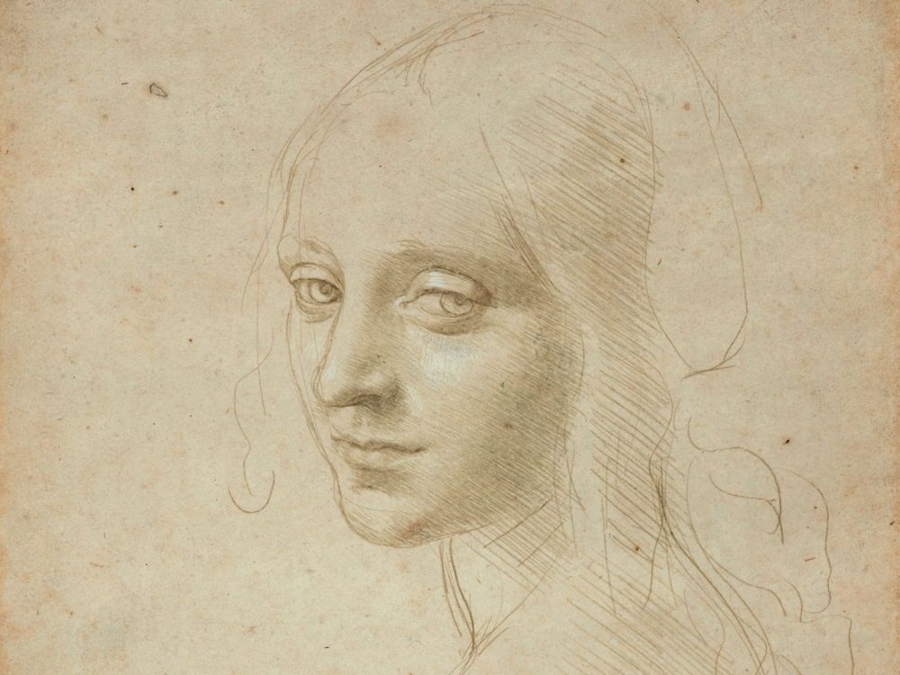 Leonardo Da Vinci Woman Drawing Realistic