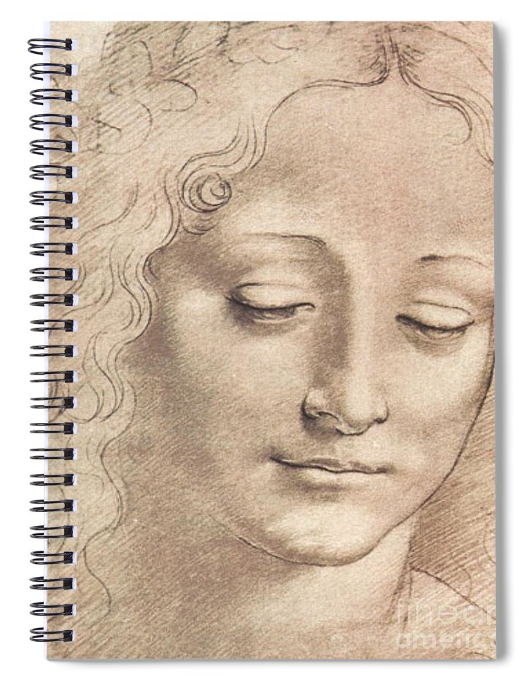 Leonardo Da Vinci Woman Drawing