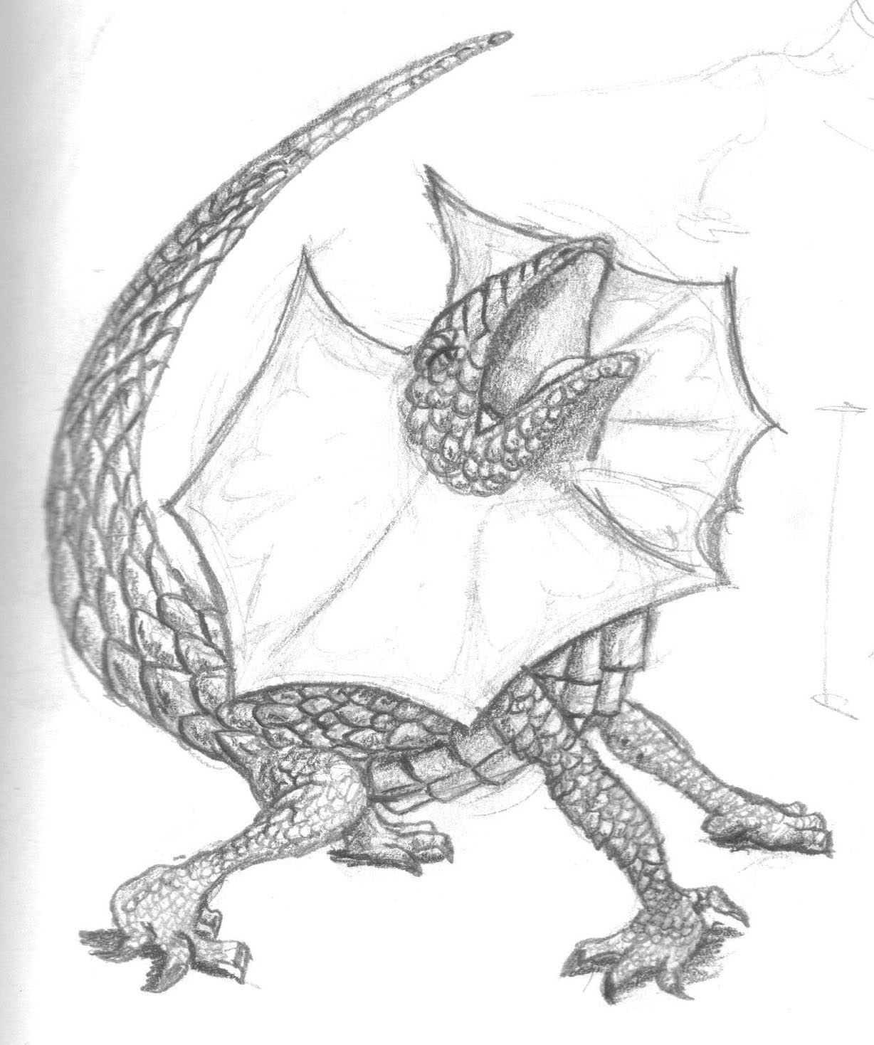 Lizard Dragon Drawing Art