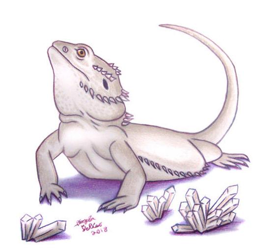 Lizard Dragon Drawing High-Quality