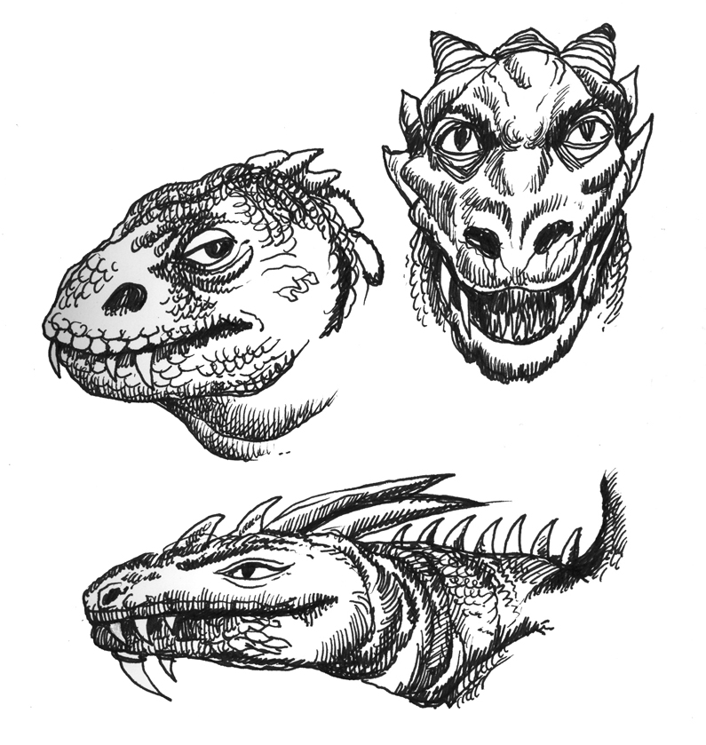 Lizard Dragon Drawing Pic