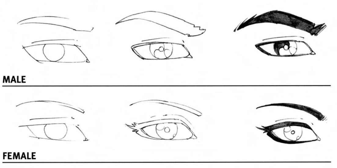 Male Eyes Drawing Amazing